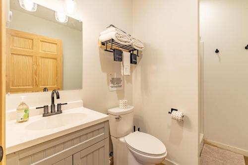 a bathroom with a toilet and a sink and a shower at Gold Valley Camp Cabin 5 in Custer