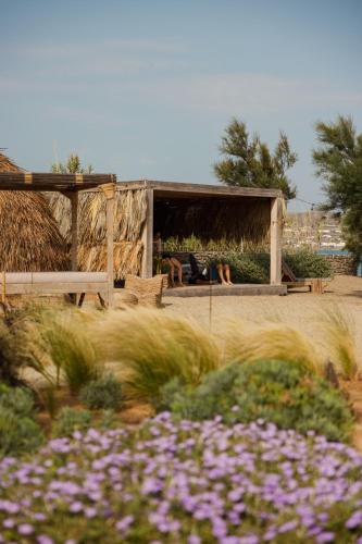 Zahrada ubytování Seesoo Paros Beachfront Resort