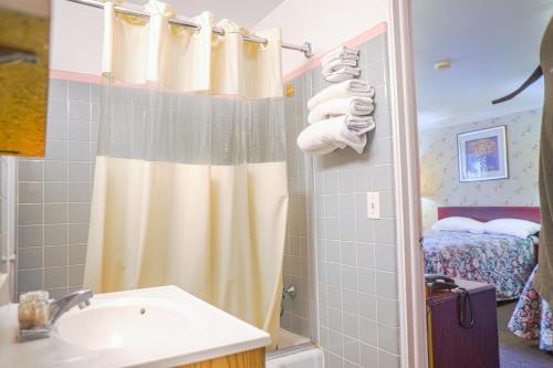 W łazience znajduje się umywalka i prysznic. w obiekcie Bay Motel By OYO Bay City w mieście Bay City