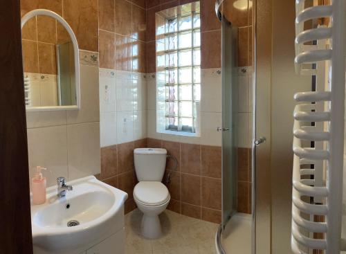 La salle de bains est pourvue de toilettes, d'un lavabo et d'une douche. dans l'établissement Willa Jaskółka, à Władysławowo