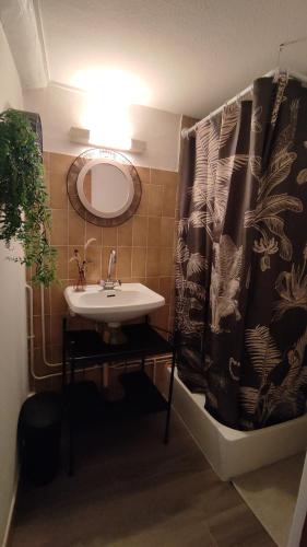 une salle de bain avec un lavabo et un rideau de douche dans l'établissement Maison spacieuse de 2 à 8 personnes, à Vaumas
