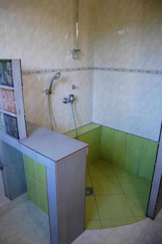 a bathroom with a shower with green and yellow tiles at Apartmán U babičky in Dobříkov