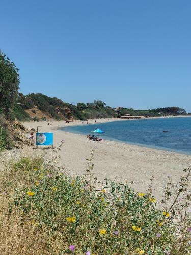 a beach with people in the water and flowers at Makri Beach Villa in Mákri