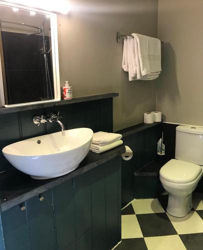 a bathroom with a sink and a toilet at The Star in Narberth in Narberth