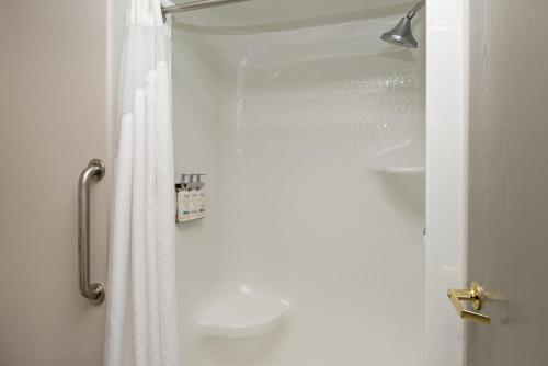 y baño con cortina de ducha y lavamanos. en Holiday Inn Express Hotel & Suites Farmington, an IHG Hotel, en Farmington