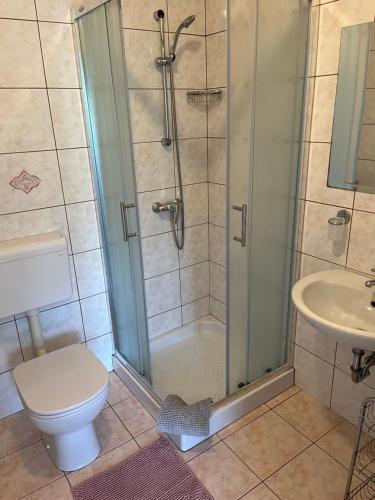 y baño con ducha, aseo y lavamanos. en Rooms Hrominc, en Bled
