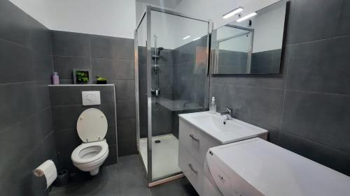 une salle de bain avec toilettes, lavabo et douche dans l'établissement Splendide vue dans ce studio !, à Ajaccio