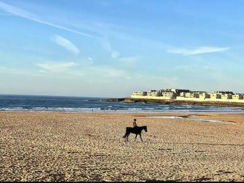 a person riding a horse on the beach at Zen and cosy Appart Rose Marie Kasbah in Skhirat