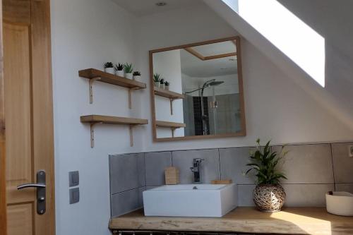 une salle de bain avec un lavabo et un miroir dans l'établissement Maison de pays à Vicq-sur-mer, à Cosqueville
