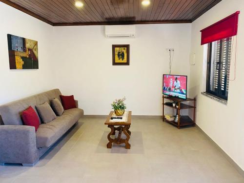 a living room with a couch and a tv at Casa do Rio in Freixo de Espada à Cinta