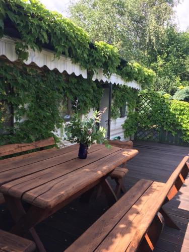 a wooden picnic table with a potted plant on a deck at Noclegi Bajama in Siepraw