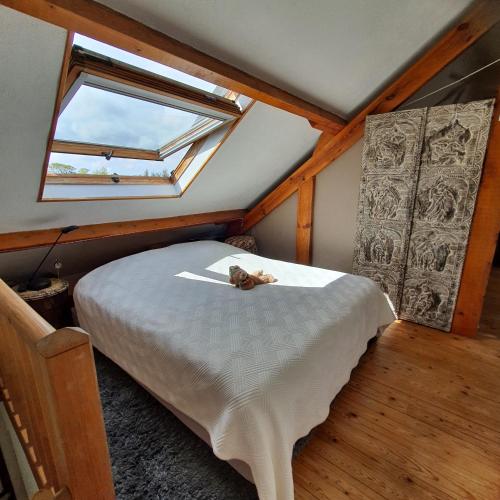 Photo de la galerie de l'établissement Aloha chez Kirsten, à Coutances