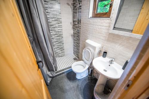 Gallery image of Zenyt Home in Turda