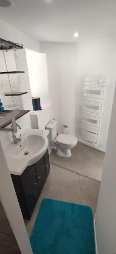 a white bathroom with a sink and a toilet at Gîte 4 Personnes à 20 MN Futuroscope in Champigny-le-Sec