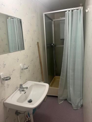 a bathroom with a sink and a shower at Sjönära stuga Bottnaryd in Bottnaryd