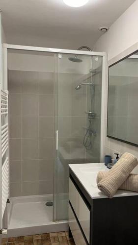 une salle de bain avec une douche en verre et un lavabo dans l'établissement Maison de campagne entre Caen et la mer, à Loucelles