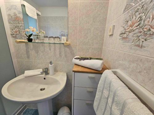 uma casa de banho com um lavatório e uma banheira em Apartmani Rita Oliva em Novigrad Istria