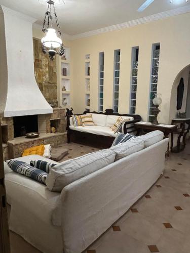 a living room with two couches and a fireplace at Tramonto in Mérikhas