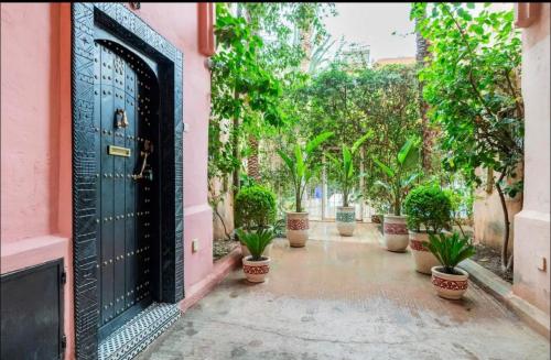 wejście do domu z doniczkami w obiekcie Riad les fleurs de Lys de Al qaria Assiyahia w Marakeszu