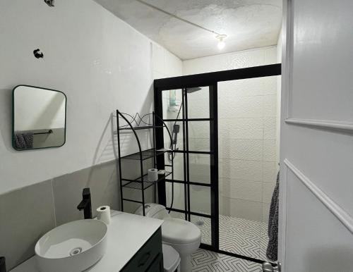 een witte badkamer met een toilet en een wastafel bij 6 VENATOR House Boutique in León