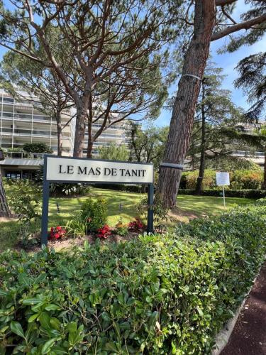 Beautiful studio in Juan Les Pins