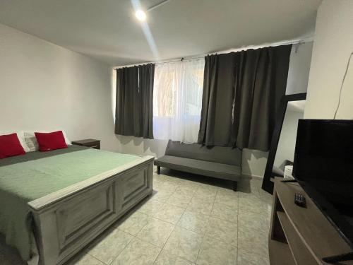 ein Schlafzimmer mit einem Bett mit roten Kissen und einem Fernseher in der Unterkunft 8 VENATOR House Boutique in León