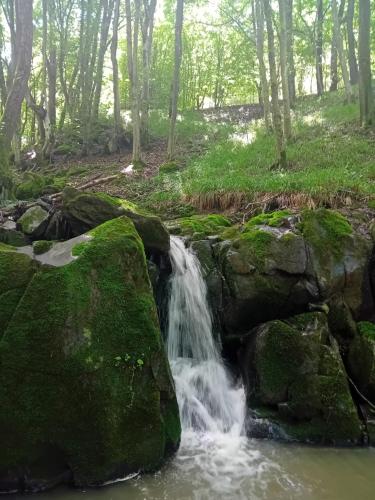 a waterfall flows over moss covered rocks in a forest at Casa Eva in Bucureşci