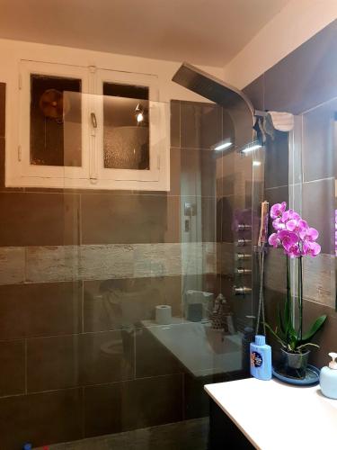 La salle de bains est pourvue d'un lavabo et d'une douche avec des fleurs violettes. dans l'établissement Chez Nani, à Menton