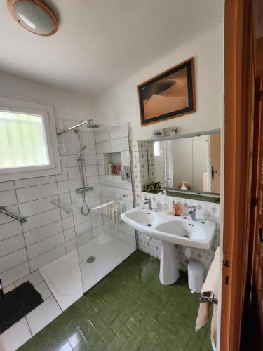 une salle de bain avec un lavabo et une douche dans l'établissement Villa Martigues, à Martigues