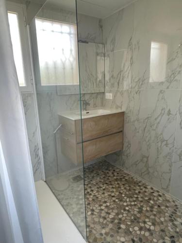 une salle de bain avec une douche avec un lavabo et un miroir dans l'établissement Bel appartement, terrasse vue mer, Sant Ambroggio, à Lumio