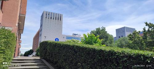 a building with a hedge in front of a building at Parri 33 Bologna Fiera 4+1 Guest Parking on demand in Bologna