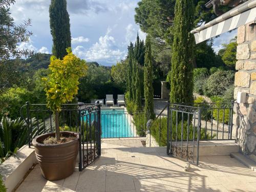 un arbre en pot dans un pot à côté d'une porte dans l'établissement La Pastourelle, au Cannet