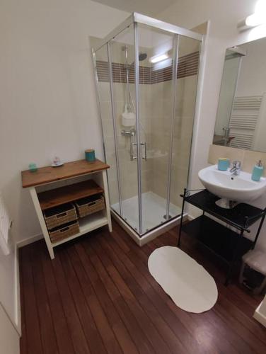 une salle de bain avec une douche en verre et un lavabo dans l'établissement Rez de jardin, St Brevin les Pins, plage à pieds, à Saint-Brévin-les-Pins