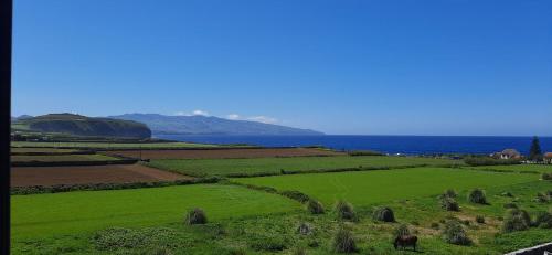 Naturlandskabet i nærheden af lejligheden