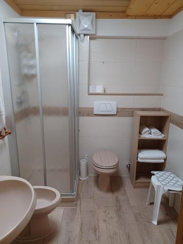 a bathroom with a shower and a toilet and a sink at Locanda Da Pierina in Santo Stefano di Cadore
