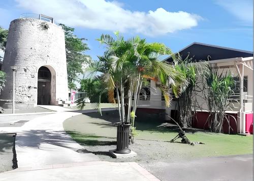 eine Palme vor einem Gebäude in der Unterkunft Maison d'une chambre avec piscine privee jardin clos et wifi a Port Louis in Port-Louis