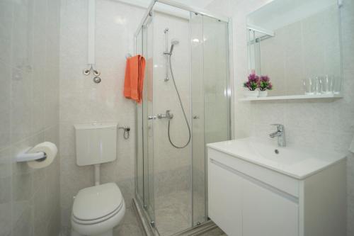 a bathroom with a shower and a toilet and a sink at Corcyra Nigra Apartment 2 in Blato