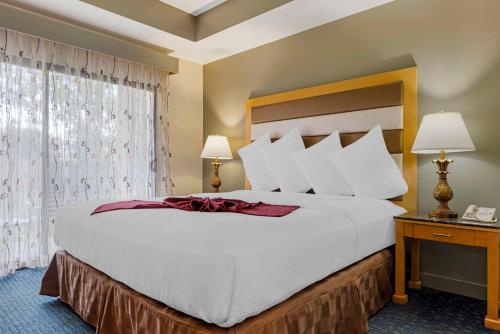a bedroom with a large bed and a window at Best Western Plus Palm Desert Resort in Palm Desert