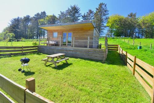 a cabin in a field with a picnic table and a grill at Anniston Mill Cabin 2 in Arbroath