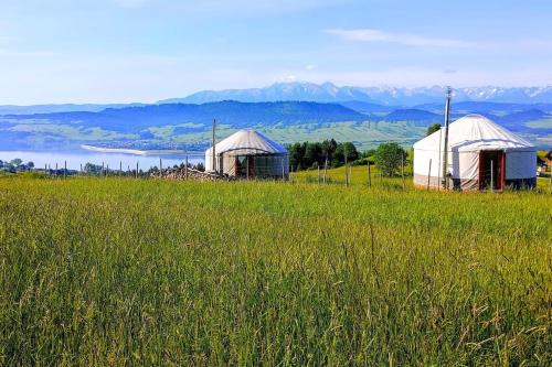 two tents in a field with a view of a lake at Woda Góry Las - glamping CAŁOROCZNY in Szlembark