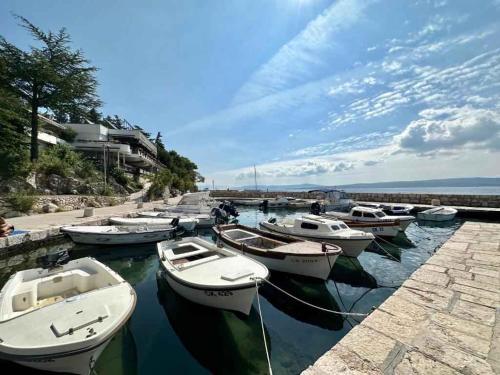 Studio in Crikvenica 50292