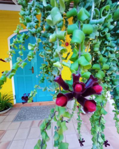 a plant in front of a yellow house at Pousada das Flores in Conservatória