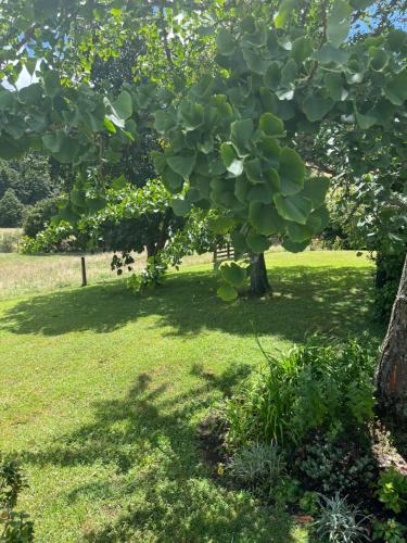 Κήπος έξω από το Cone Hill Farmstay - with bush and river walks - 80 sqm self contained