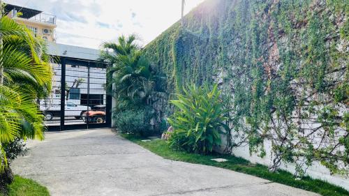 a sidewalk next to a wall with plants at Hotel Boutique Ixaya in Puerto Vallarta