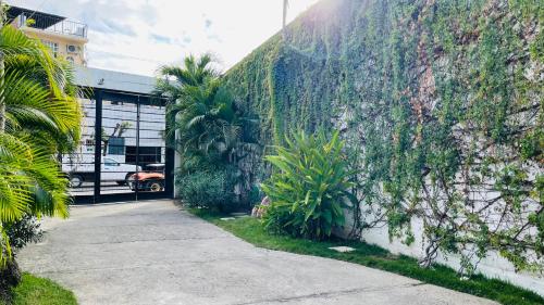 um passeio ao lado de uma parede com plantas em Ixaya em Puerto Vallarta