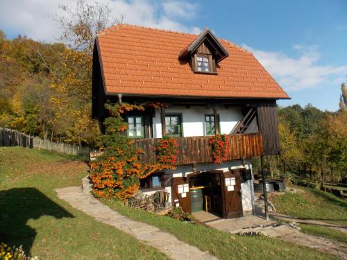 a house with a red roof and flowers on it at APARTMANI Etno kuća pod Okićem in Samobor