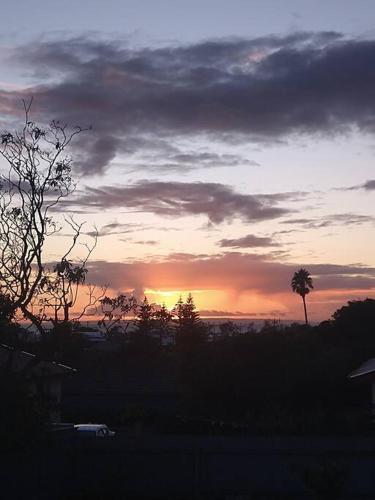 a sunset with a palm tree and the sky at No 4 Giles in Kingscote