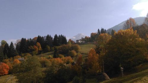 a hillside with trees and a house on it at Alpina Panoramic in Moisei