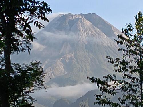 a mountain in the distance with trees in the foreground at Villa Mak Cik in Yogyakarta