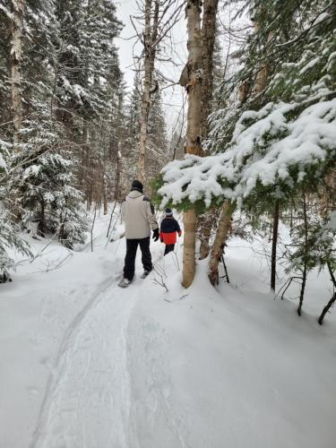 two people cross country skiing through a snow covered forest at Le Rassembleur in Saint Adolphe D'Howard